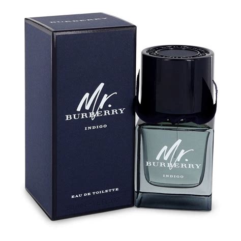 mr burberry fragrancenet|mr burberry indigo 50ml.